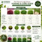 Surekha Agro Fast Harvest 5 Leafy Green Vegetable Seeds Combo - Image 6