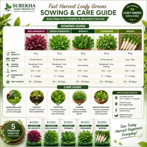 Surekha Agro Fast Harvest 5 Leafy Green Vegetable Seeds Combo - Image 6