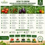 Surekha Agro Indian Kitchen Garden 5 Vegetable Seeds Combo - Image 5