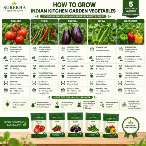Surekha Agro Indian Kitchen Garden 5 Vegetable Seeds Combo - Image 5