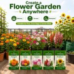 Surekha Agro 5 Easy Flower Garden Seeds Combo - Image 4