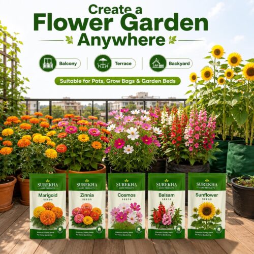 Surekha Agro 5 Easy Flower Garden Seeds Combo - Image 4