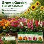 Surekha Agro 5 Easy Flower Garden Seeds Combo - Image 5