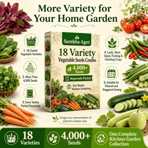 Surekha Agro 18 Variety Vegetable Seeds Combo – 5000+ Seeds - Image 8