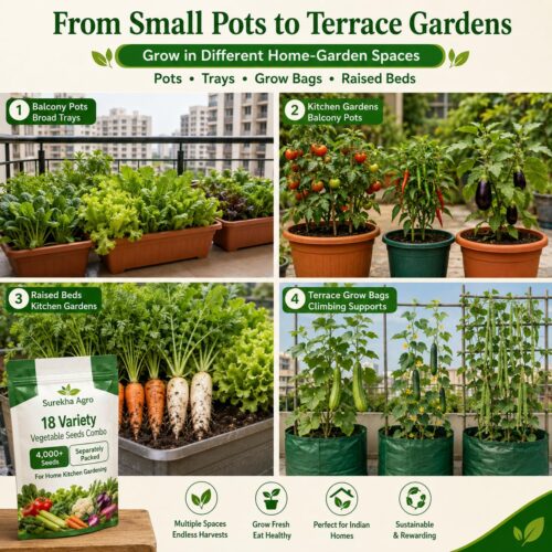 Surekha Agro 18 Variety Vegetable Seeds Combo – 5000+ Seeds - Image 5