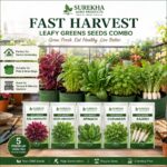 Surekha Agro Fast Harvest 5 Leafy Green Vegetable Seeds Combo - Image 4