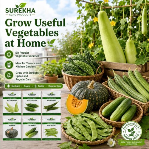 Surekha Agro Gourd and Climber Vegetable Seeds Combo – 6 Varieties - Image 5