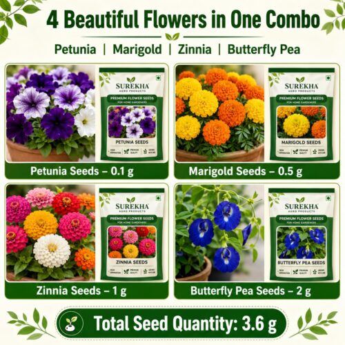 Surekha Agro Premium Balcony Flower Seeds Combo - Image 2