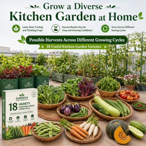Surekha Agro 18 Variety Vegetable Seeds Combo – 5000+ Seeds - Image 6