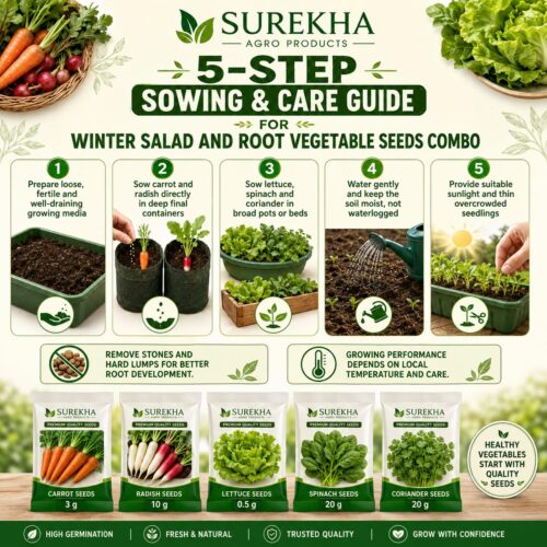 Surekha Agro Winter Salad and Root Vegetable Seeds Combo - Image 6
