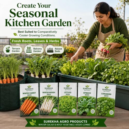 Surekha Agro Winter Salad and Root Vegetable Seeds Combo - Image 4