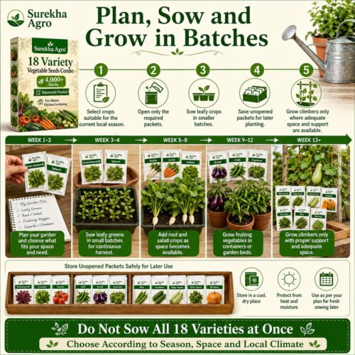 Surekha Agro 18 Variety Vegetable Seeds Combo – 5000+ Seeds - Image 3