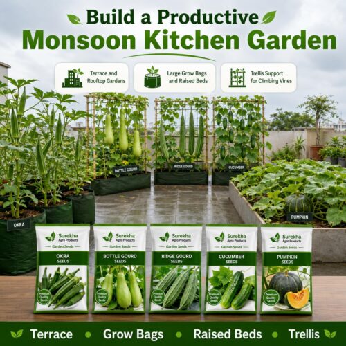 Surekha Agro Monsoon Vegetable Garden Seeds Combo - Image 4