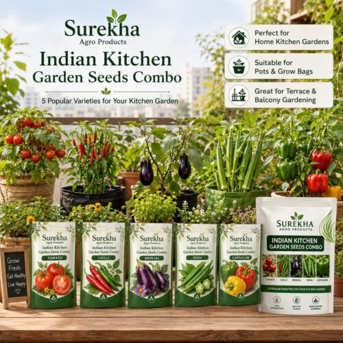 Surekha Agro Indian Kitchen Garden 5 Vegetable Seeds Combo - Image 4