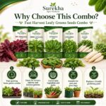 Surekha Agro Fast Harvest 5 Leafy Green Vegetable Seeds Combo - Image 2