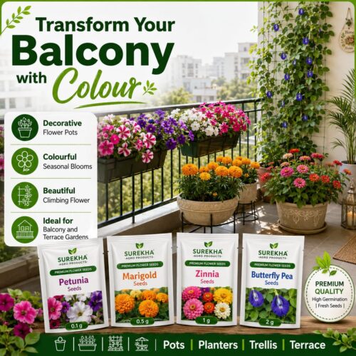 Surekha Agro Premium Balcony Flower Seeds Combo - Image 4