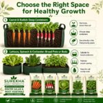 Surekha Agro Winter Salad and Root Vegetable Seeds Combo - Image 5