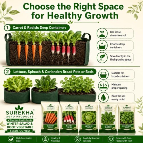 Surekha Agro Winter Salad and Root Vegetable Seeds Combo - Image 5