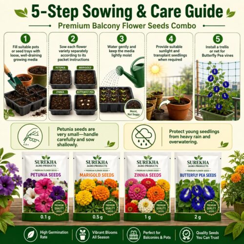 Surekha Agro Premium Balcony Flower Seeds Combo - Image 5