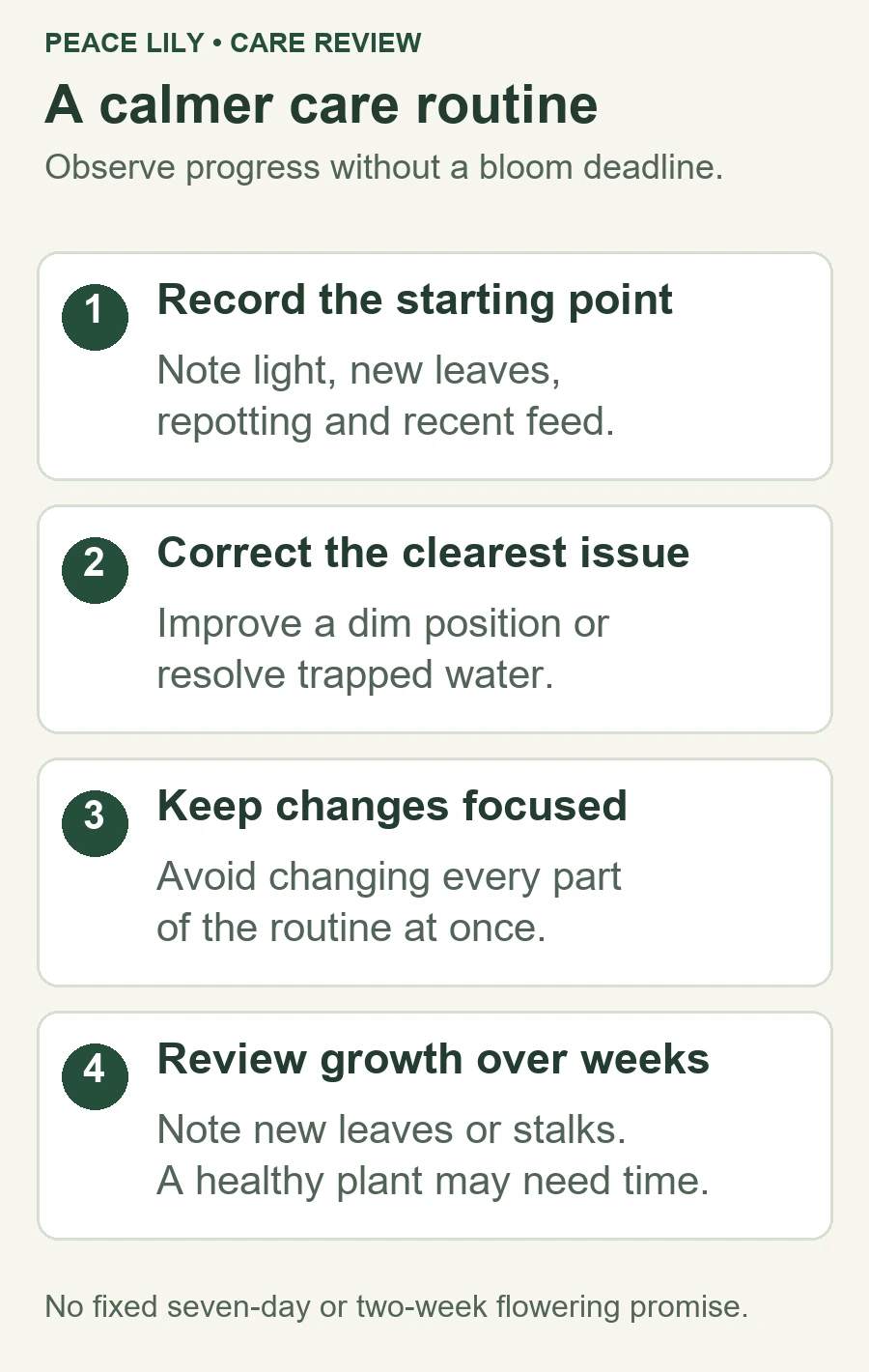 Four-step care checklist: record current conditions, correct the clearest issue, keep changes focused and review growth over the following weeks